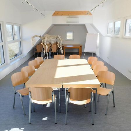 Equiliber Reitkunstzentrum Burgenland Wulkaprodersdorf Εξωτερικό φωτογραφία