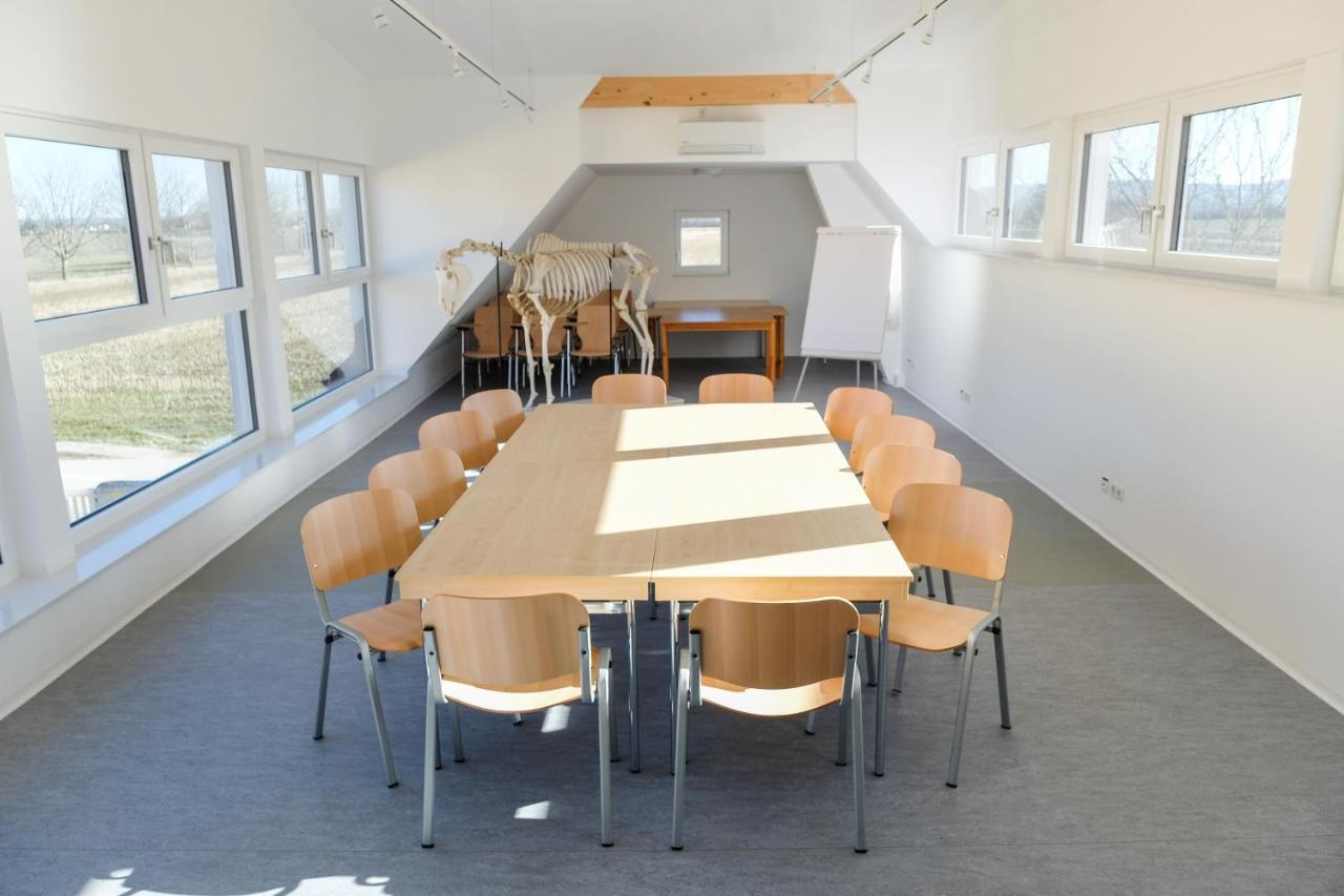 Equiliber Reitkunstzentrum Burgenland Wulkaprodersdorf Εξωτερικό φωτογραφία